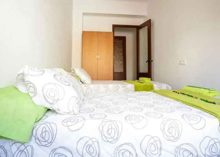 Geranios Wifi En Plena Puerta Purchena